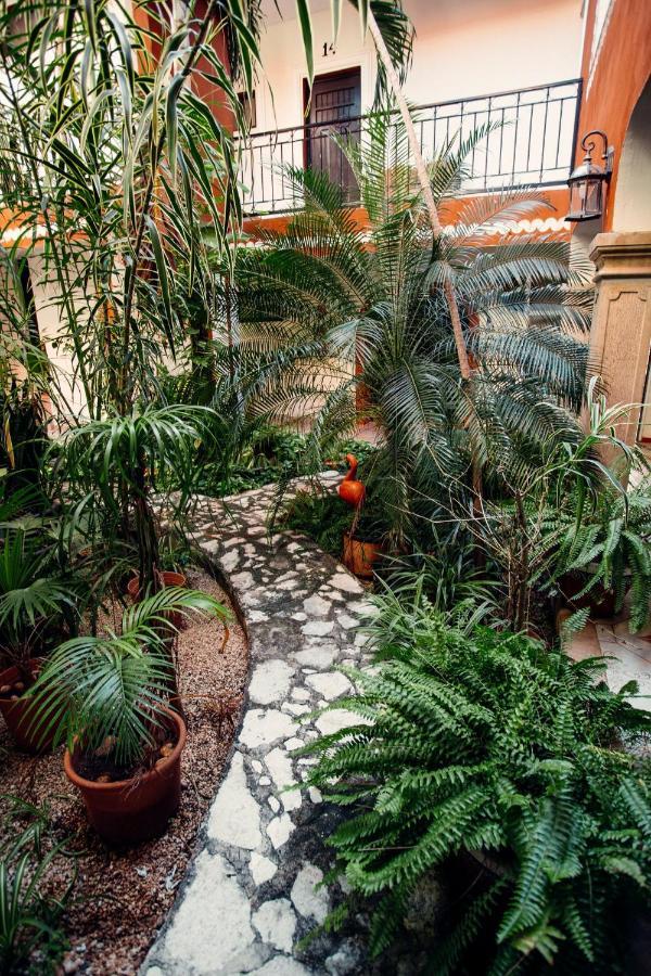 Hotel Quinta Marciala Mx Valladolid  Buitenkant foto